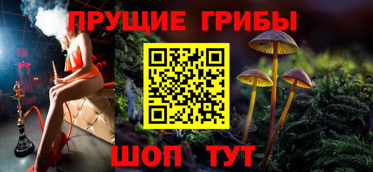 Черняховск  Галлюциногенные грибы MAGIC MUSHROOMS  купить закладку  Псилоцибиновые грибы ЛСД  Вход с VPN 